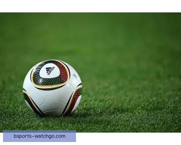 世界杯足球竞猜赔率分析与投注策略深度解析助你轻松盈利