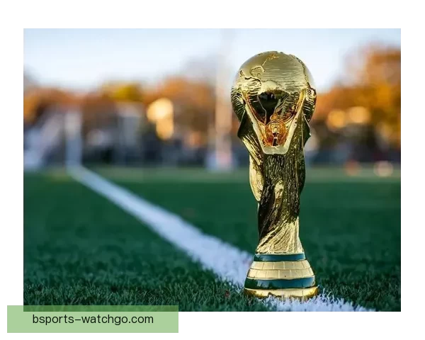2026世界杯竞猜平台全面解析：热门赛事预测与精准投注策略助您赢得大奖