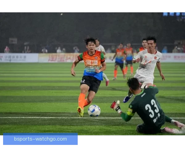 激情点燃绿茵之夜粤超河源主场掀起全民共享足球狂欢热潮